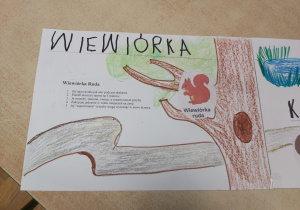 Plakat dotyczący wiewiórki