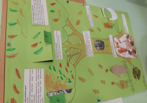 Plakat dotyczący zwierząt żyjących w parku